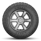 Thumbnail 3 for Safari® AT