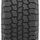 Thumbnail 4 for Safari® AT