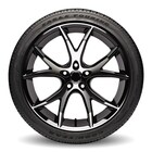 Thumbnail 3 for Eagle® Touring w/SoundComfort Technology®